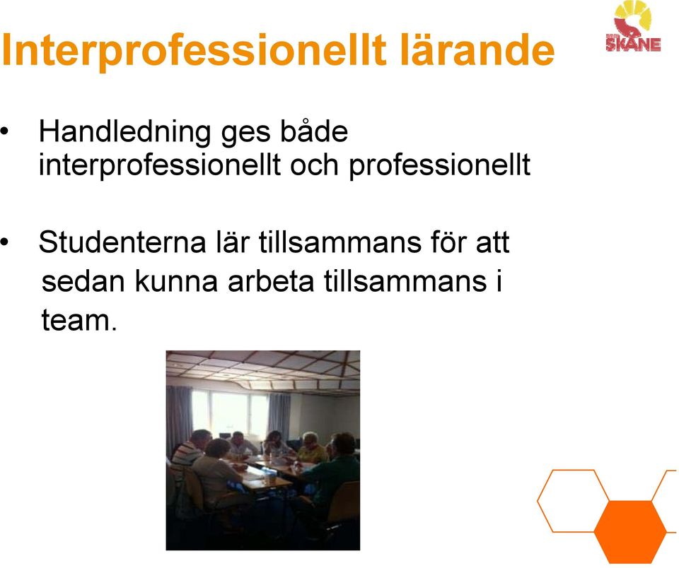 professionellt Studenterna lär