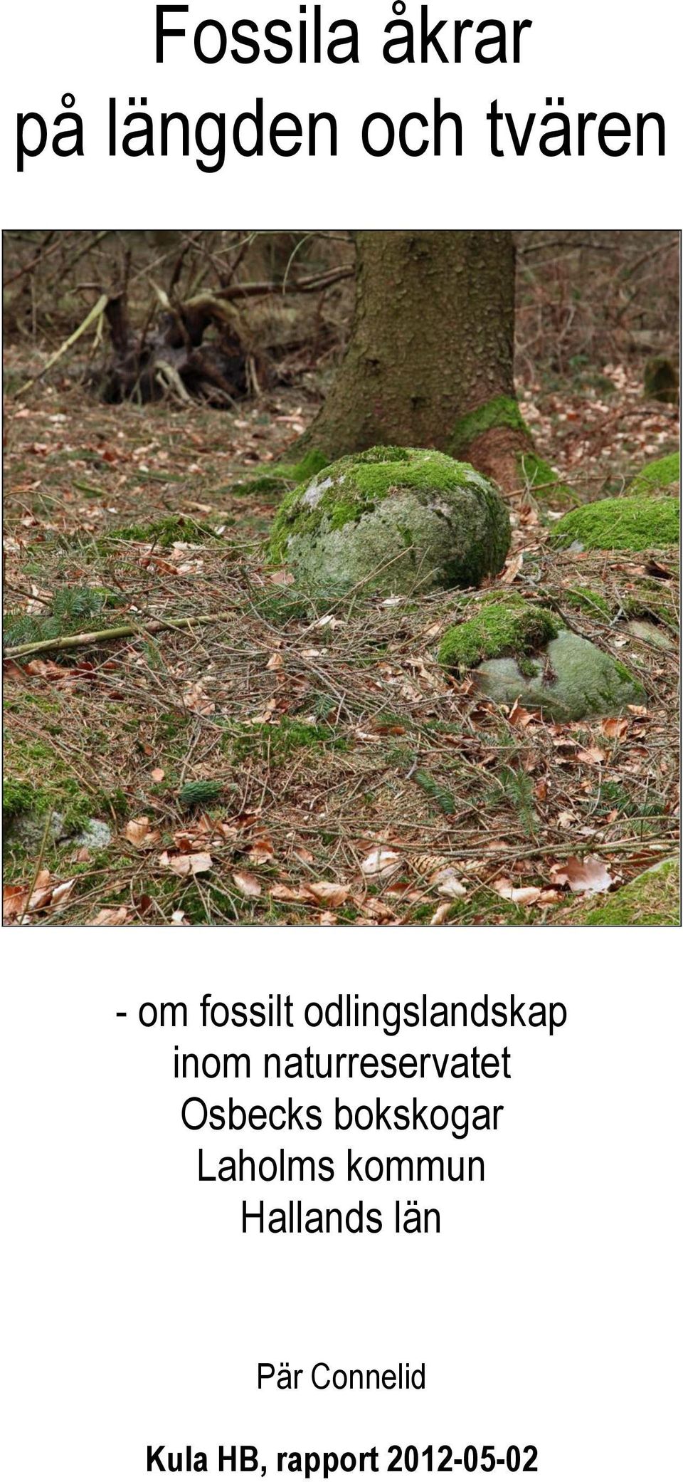 naturreservatet Osbecks bokskogar Laholms
