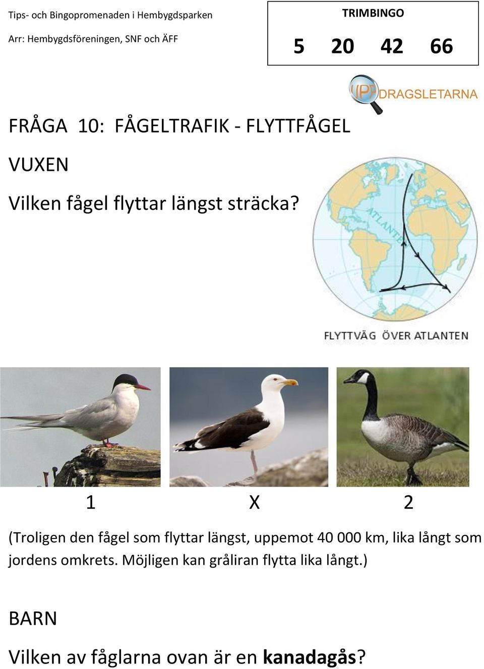 1 2 (Troligen den fågel som flyttar längst, uppemot 40 000 km,