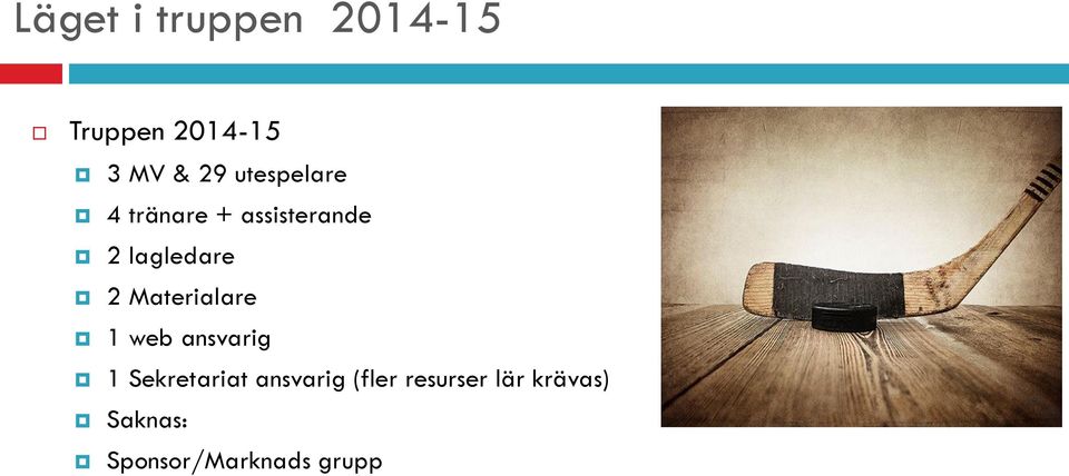 Materialare 1 web ansvarig 1 Sekretariat ansvarig