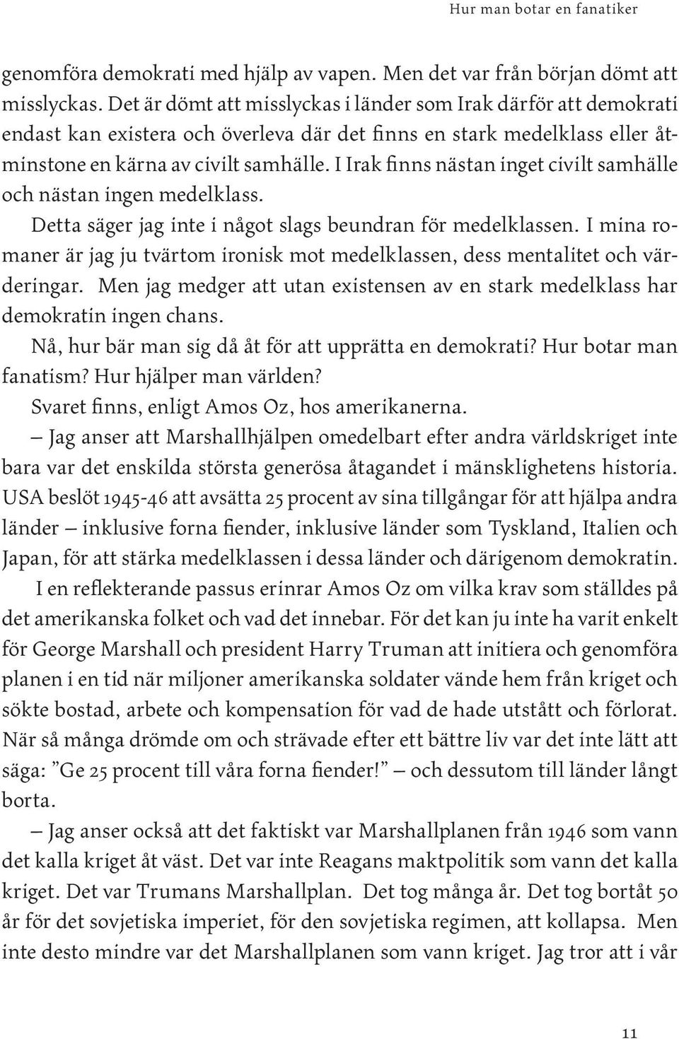 I Irak finns nästan inget civilt samhälle och nästan ingen medelklass. Detta säger jag inte i något slags beundran för medelklassen.