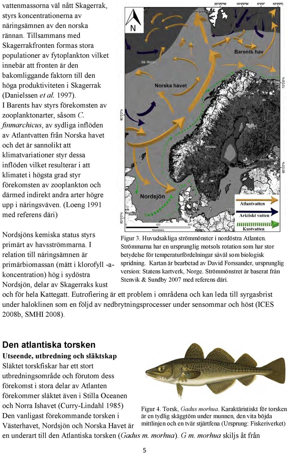 I Barents hav styrs förekomsten av zooplanktonarter, såsom C.