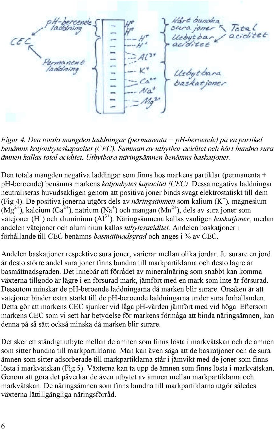 Dessa negativa laddningar neutraliseras huvudsakligen genom att positiva joner binds svagt elektrostatiskt till dem (Fig 4).