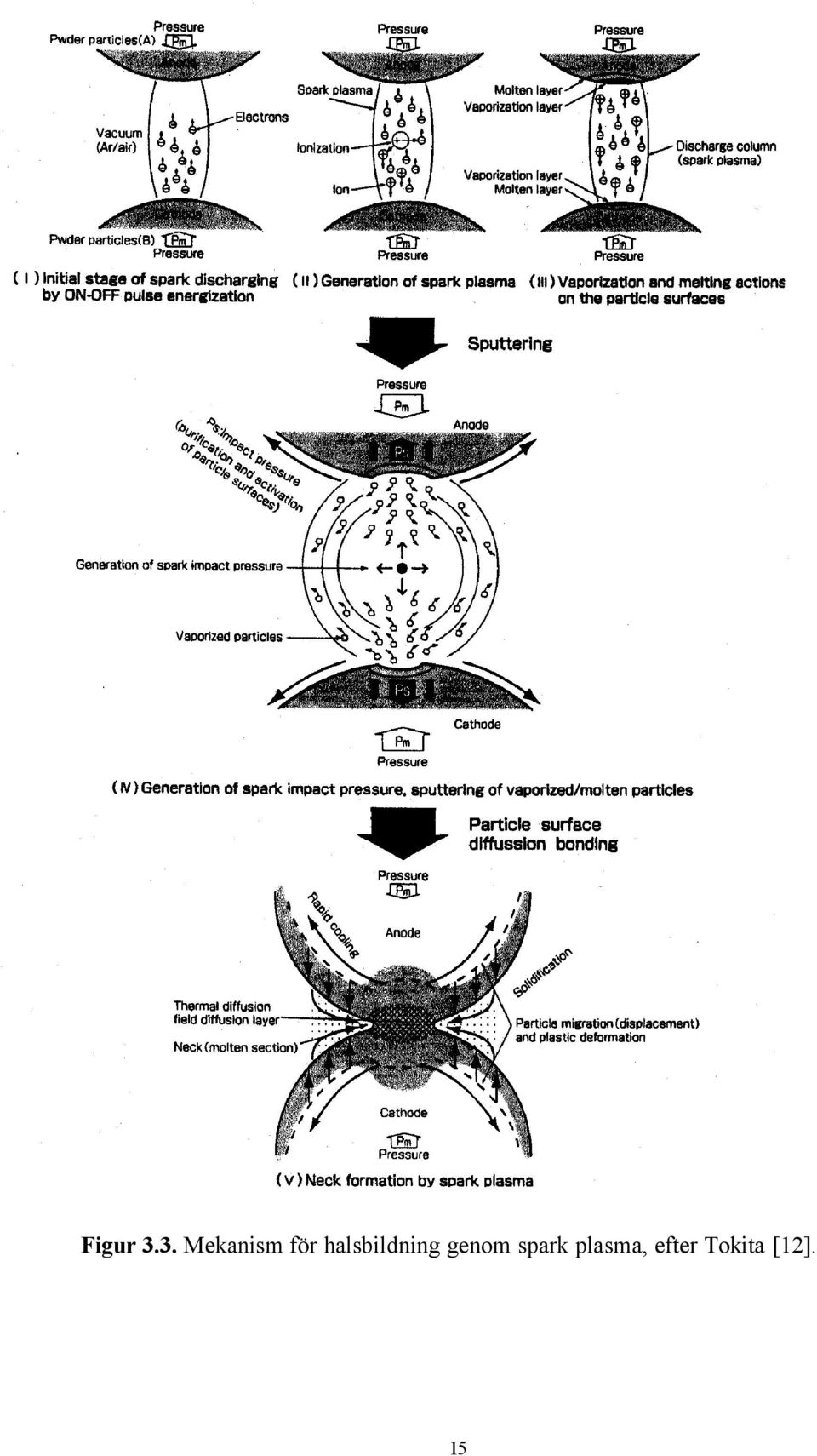 halsbildning genom