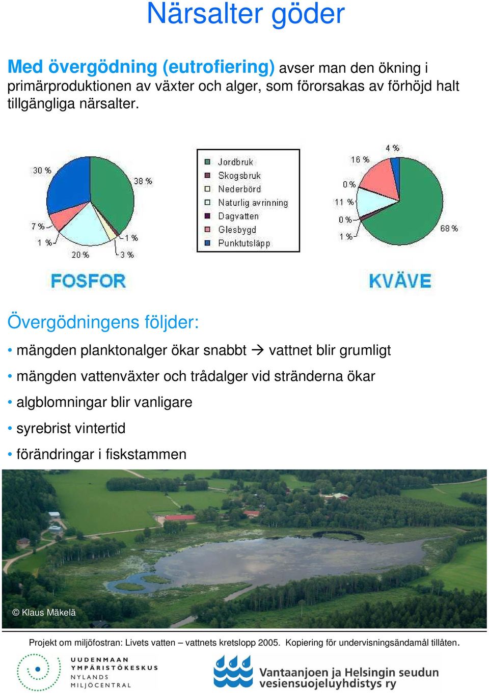 Övergödningens följder: mängden planktonalger ökar snabbt vattnet blir grumligt mängden