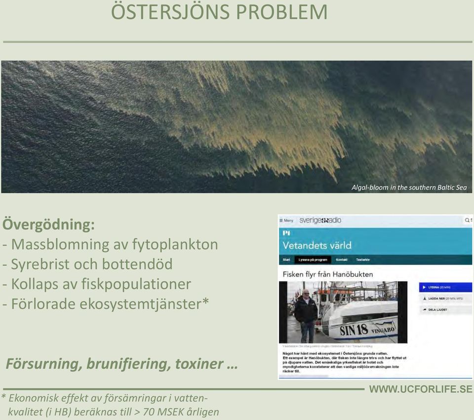 fiskpopulationer - Förlorade ekosystemtjänster* Försurning, brunifiering,