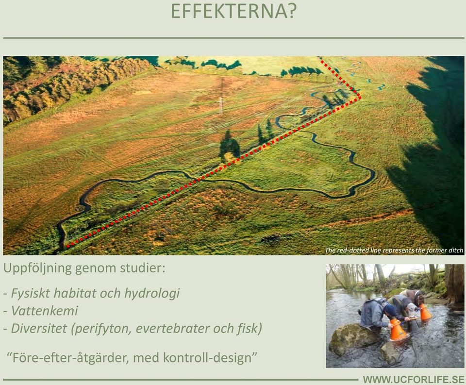 hydrologi - Vattenkemi - Diversitet (perifyton,