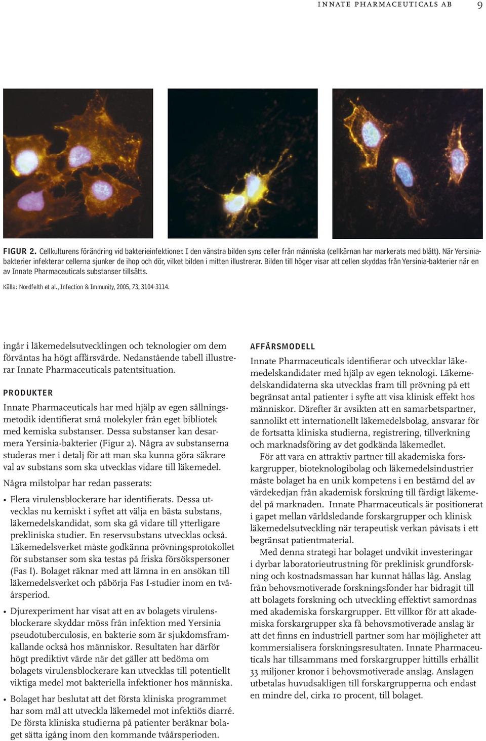 Bilden till höger visar att cellen skyddas från Yersinia-bakterier när en av Innate Pharmaceuticals substanser tillsätts. Källa: Nordfelth et al., Infection & Immunity, 2005, 73, 3104-3114.