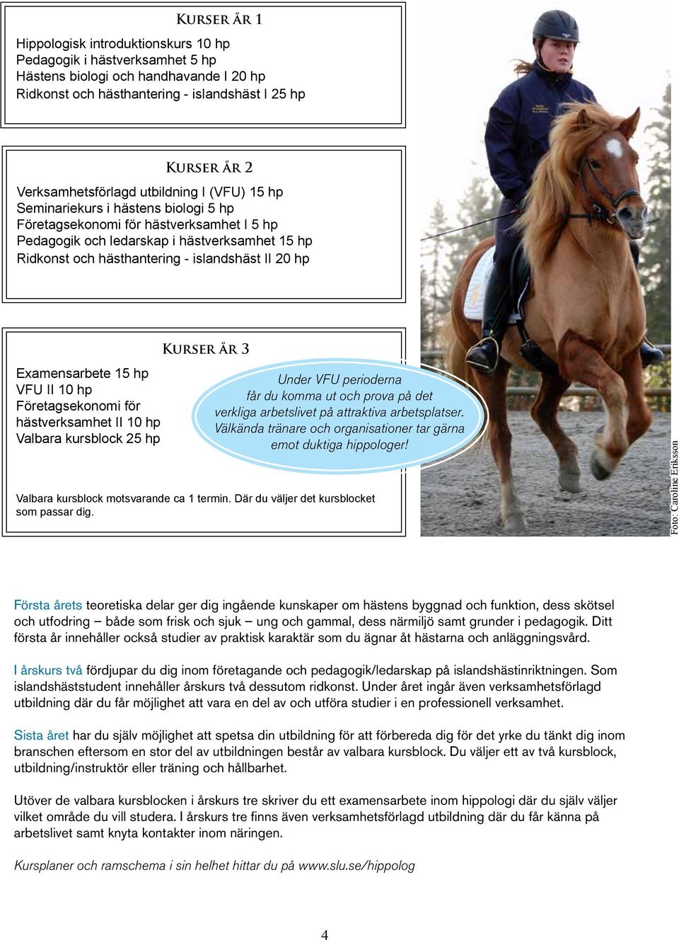 hp Examensarbete 15 hp VFU II 10 hp Företagsekonomi för hästverksamhet II 10 hp Valbara kursblock 25 hp Kurser år 3 Under VFU perioderna får du komma ut och prova på det verkliga arbetslivet på