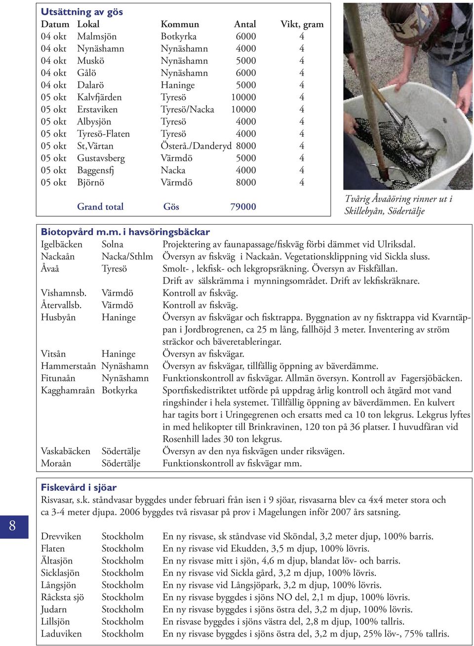 /Danderyd 8000 4 05 okt Gustavsberg Värmdö 5000 4 05 okt Baggensfj Nacka 4000 4 05 okt Björnö Värmdö 8000 4 Grand total Gös 79000 Tvårig Åvaåöring rinner ut i Skillebyån, Södertälje Biotopvård m.m. i havsöringsbäckar Igelbäcken Solna Projektering av faunapassage/fiskväg förbi dämmet vid Ulriksdal.