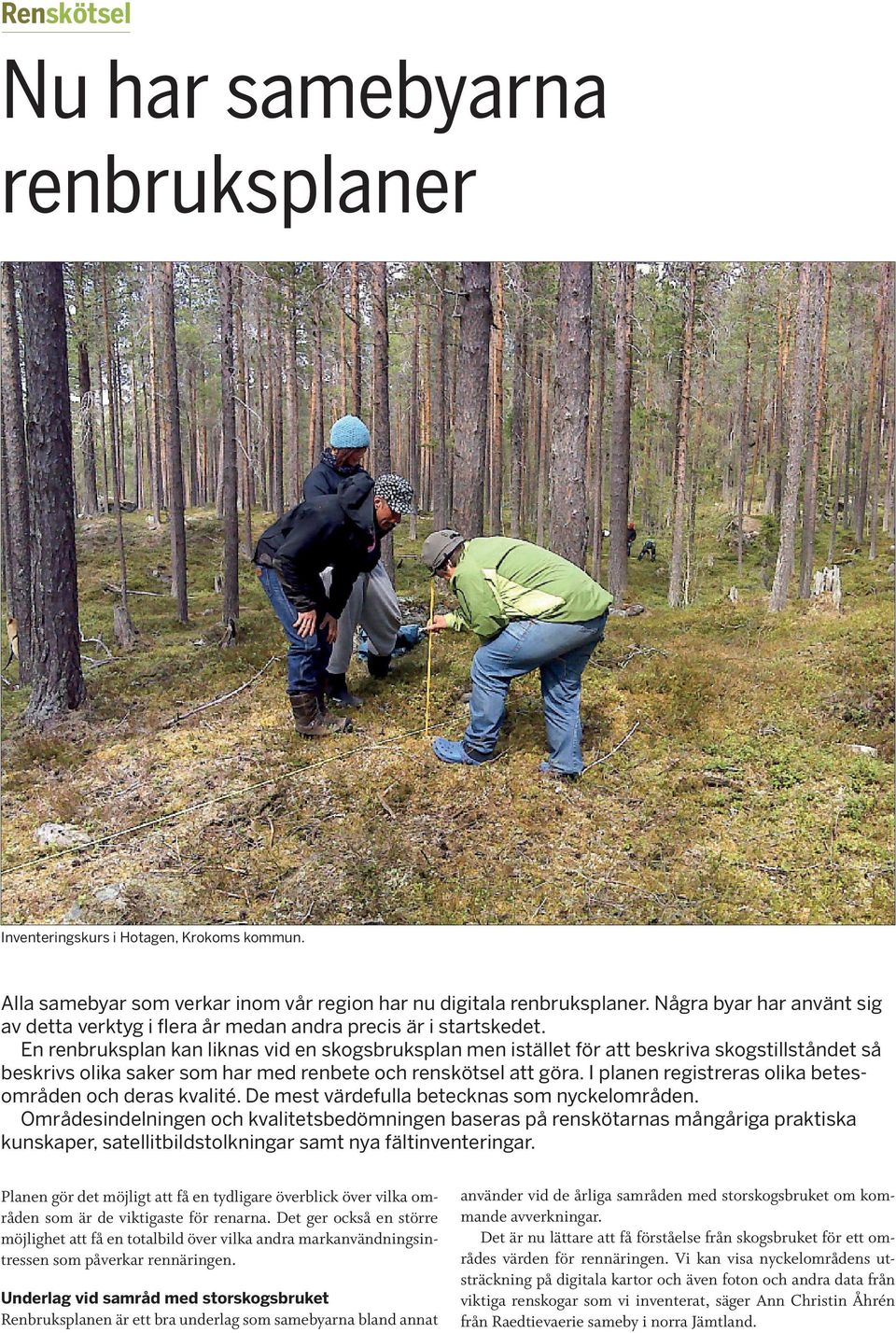 En renbruksplan kan liknas vid en skogsbruksplan men istället för att beskriva skogstillståndet så beskrivs olika saker som har med renbete och renskötsel att göra.