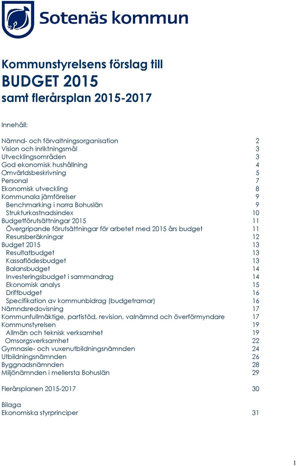 arbetet med 2015 års budget 11 Resursberäkningar 12 Budget 2015 13 Resultatbudget 13 Kassaflödesbudget 13 Balansbudget 14 Investeringsbudget i sammandrag 14 Ekonomisk analys 15 Driftbudget 16