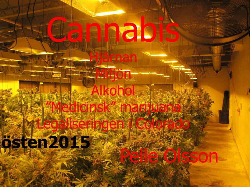 marijuana Legaliseringen