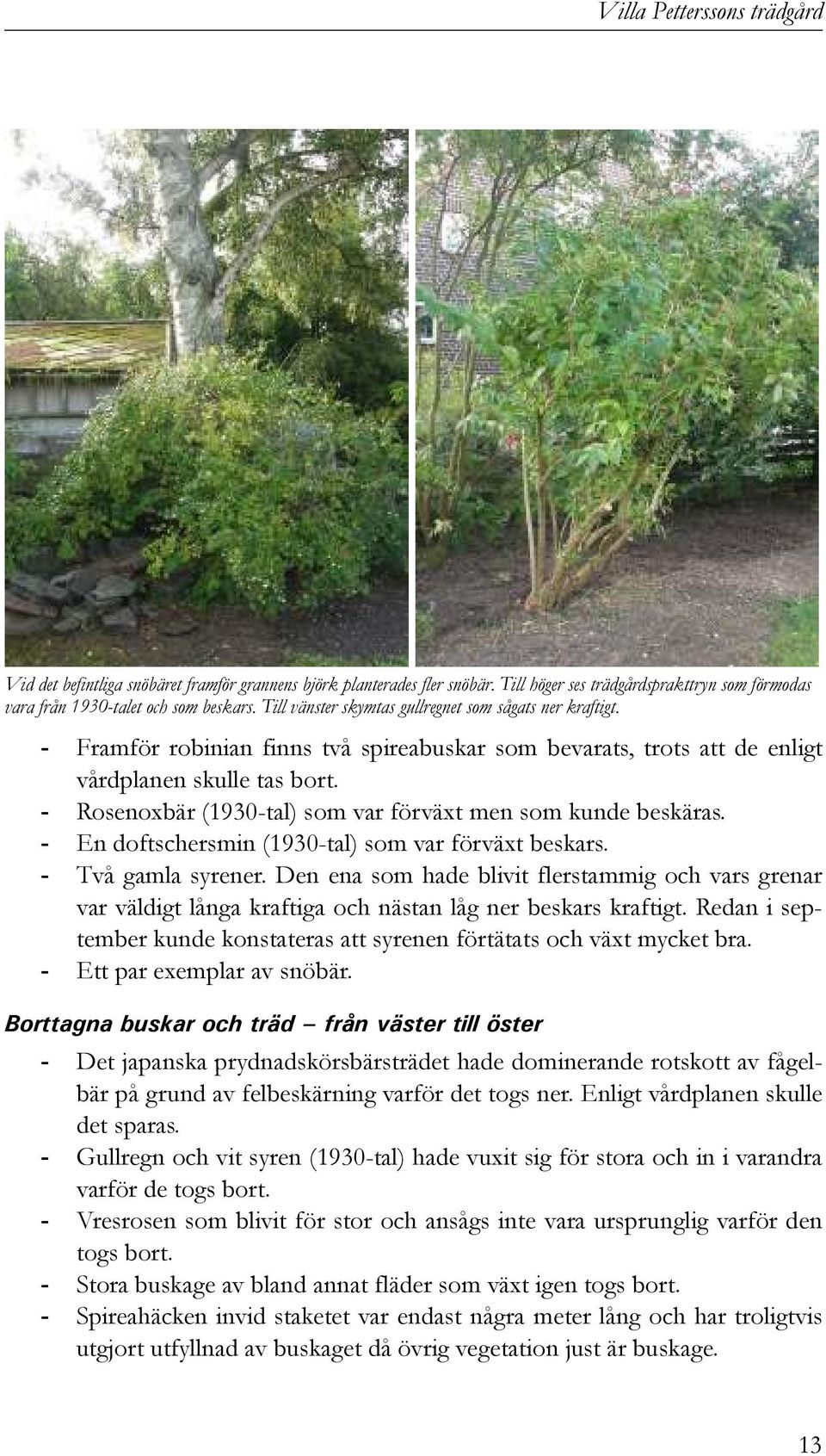 - Rosenoxbär (1930-tal) som var förväxt men som kunde beskäras. - En doftschersmin (1930-tal) som var förväxt beskars. - Två gamla syrener.