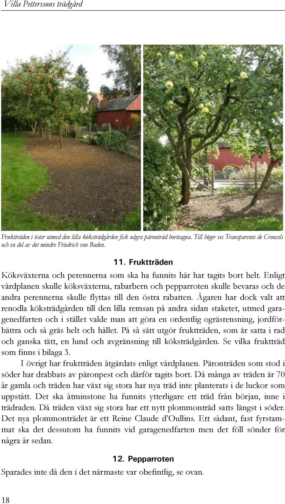 Enligt vårdplanen skulle köksväxterna, rabarbern och pepparroten skulle bevaras och de andra perennerna skulle flyttas till den östra rabatten.