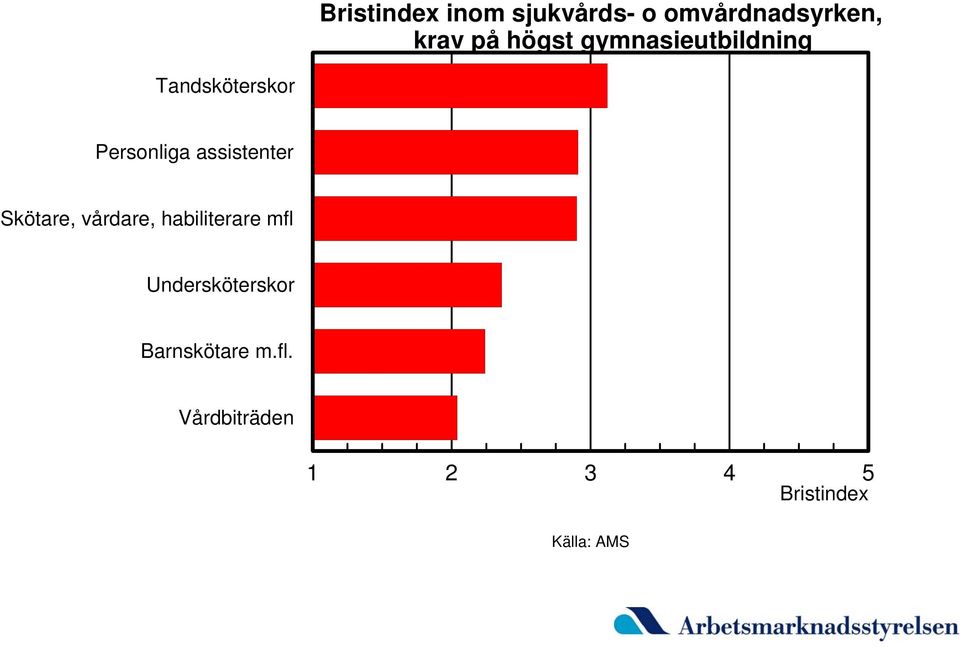 Personliga assistenter Skötare, vårdare,