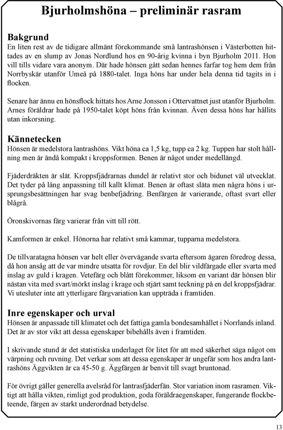 Senare har ännu en hönsflock hittats hos Arne Jonsson i Ottervattnet just utanför Bjurholm. Arnes föräldrar hade på 1950-talet köpt höns från kvinnan. Även dessa höns har hållits utan inkorsning.