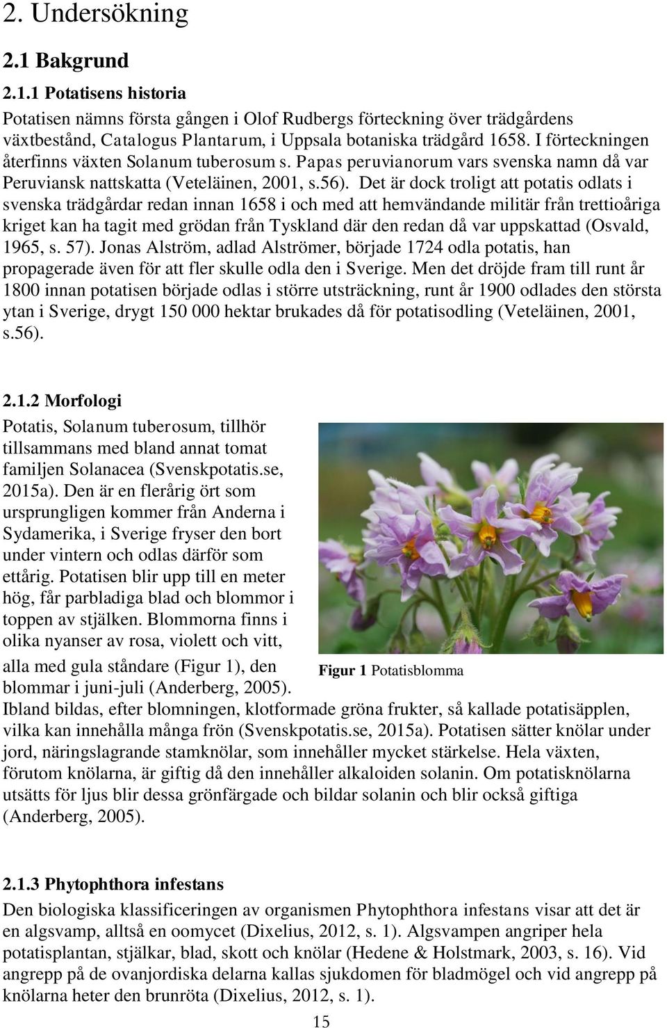 Det är dock troligt att potatis odlats i svenska trädgårdar redan innan 1658 i och med att hemvändande militär från trettioåriga kriget kan ha tagit med grödan från Tyskland där den redan då var