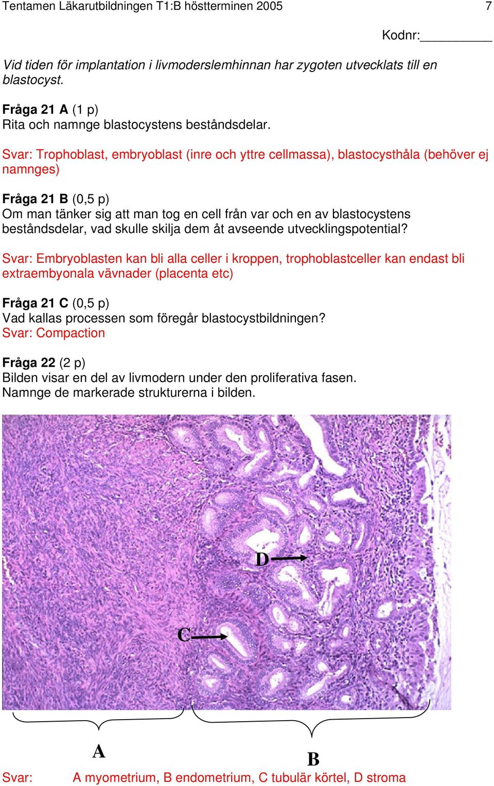 Svar: Trophoblast, embryoblast (inre och yttre cellmassa), blastocysthåla (behöver ej namnges) Fråga 21 B (0,5 p) Om man tänker sig att man tog en cell från var och en av blastocystens beståndsdelar,