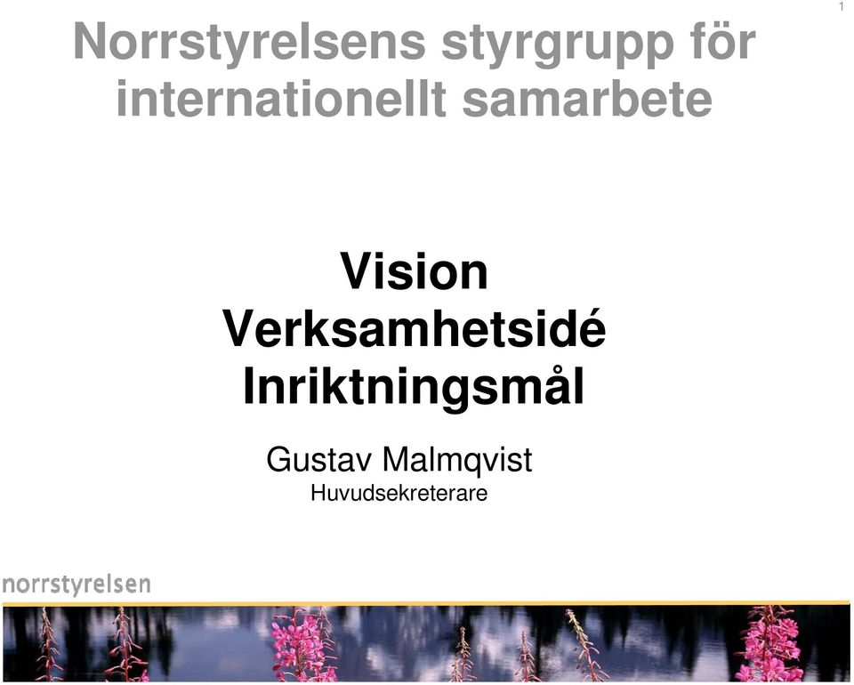 Vision Verksamhetsidé