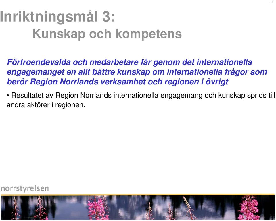 frågor som berör Region Norrlands verksamhet och regionen i övrigt Resultatet av