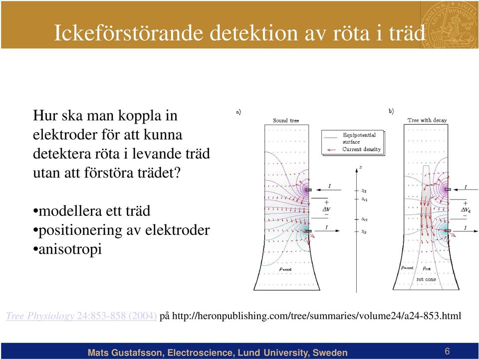 modellera dll ett träd positionering av elektroder anisotropi Tree