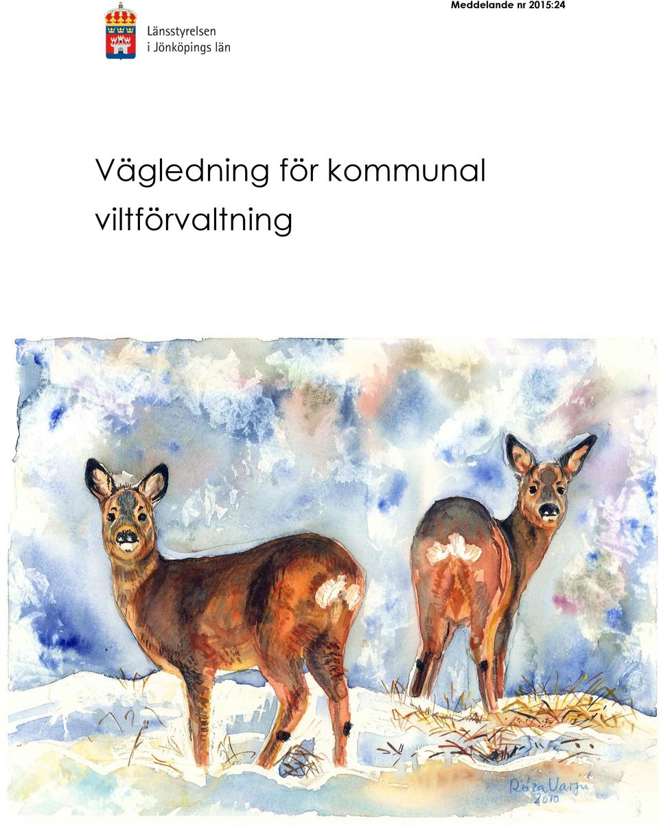 Vägledning för