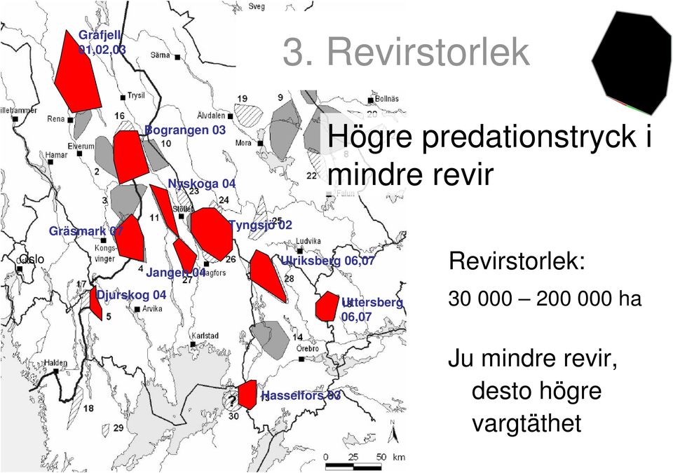 mindre revir Gräsmark 07 Tyngsjö 02 Oslo Jangen 04 Ulriksberg