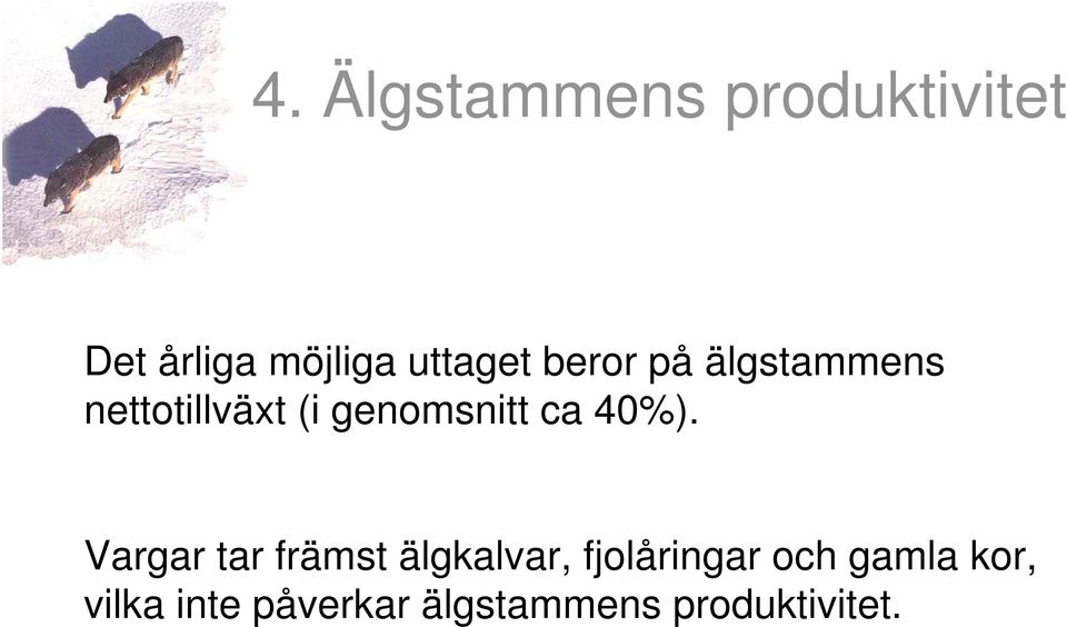 genomsnitt ca 40%).