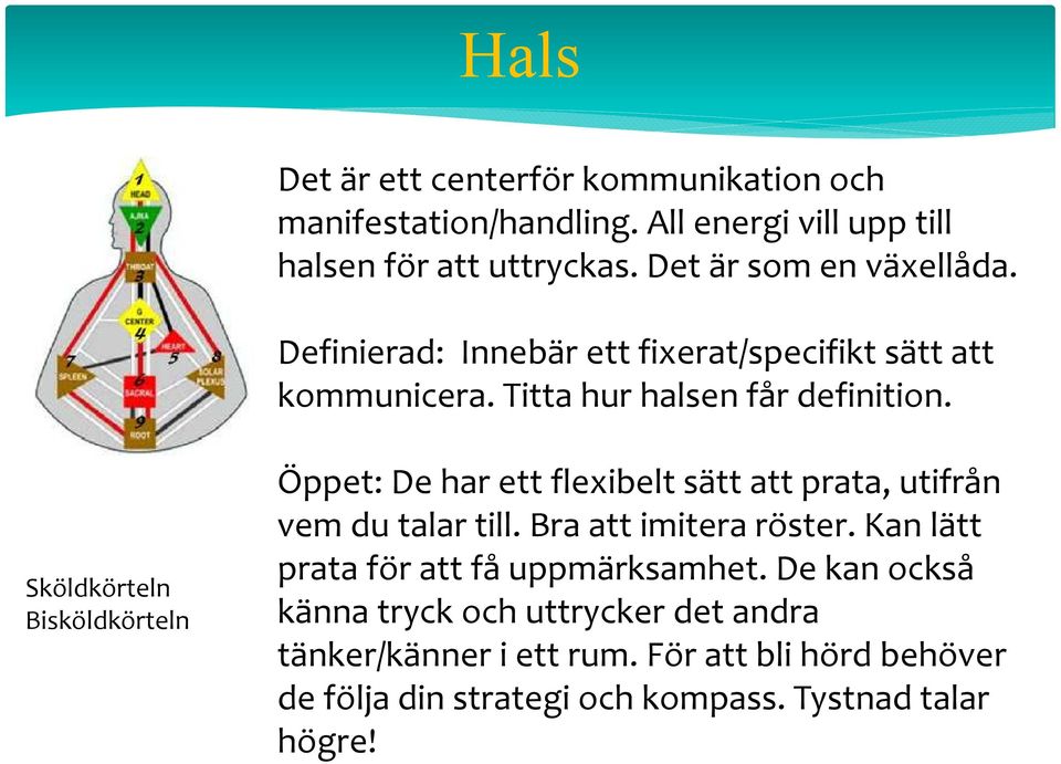 Sköldkörteln Bisköldkörteln Öppet: De har ett flexibelt sätt att prata, utifrån vem du talar till. Bra att imitera röster.