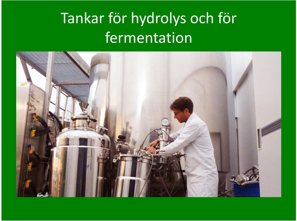 hydrolys