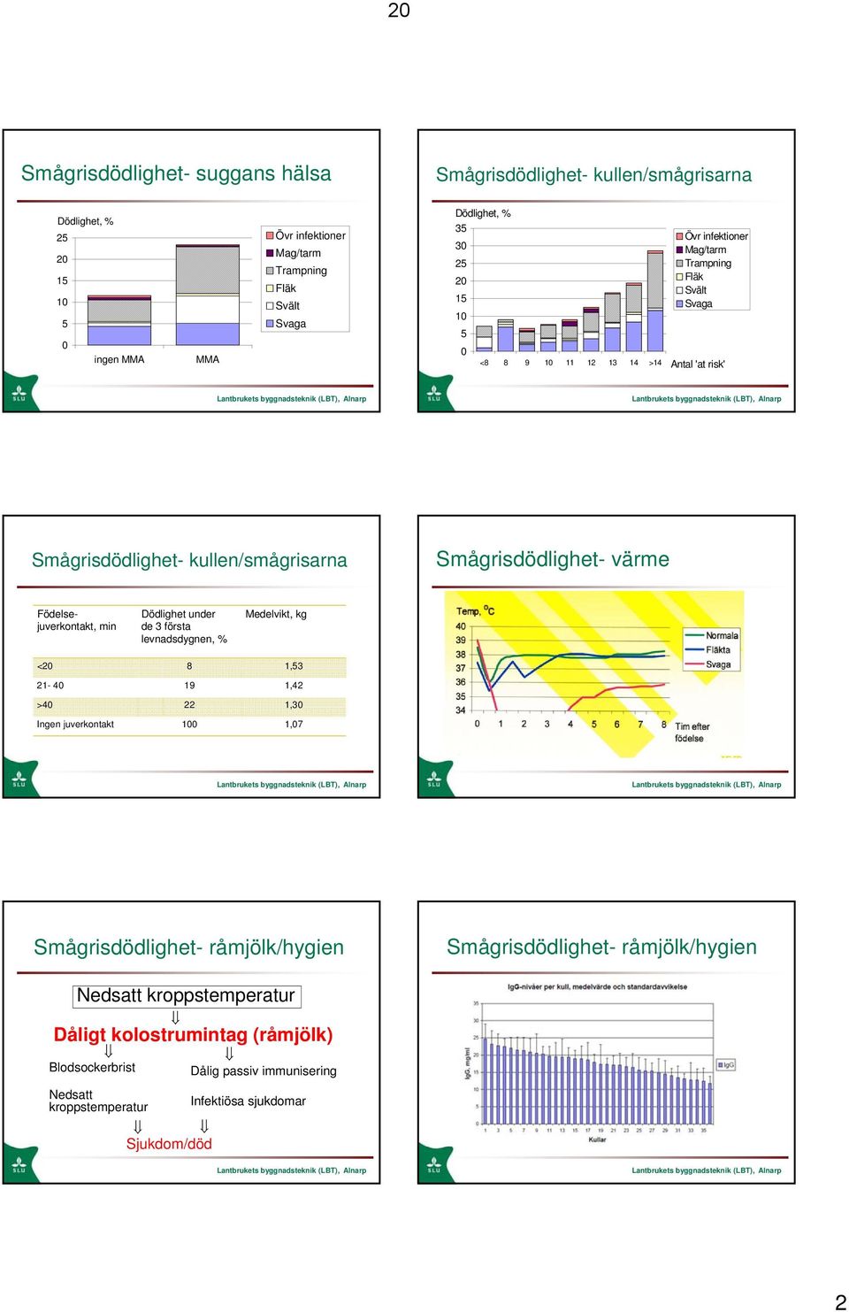 Dödlighet under de 3 första levnadsdygnen, % Medelvikt, kg < 8 1,53 1-4 19 1,4 >4 1,3 Ingen juverkontakt 1 1,7 - råmjölk/hygien - råmjölk/hygien