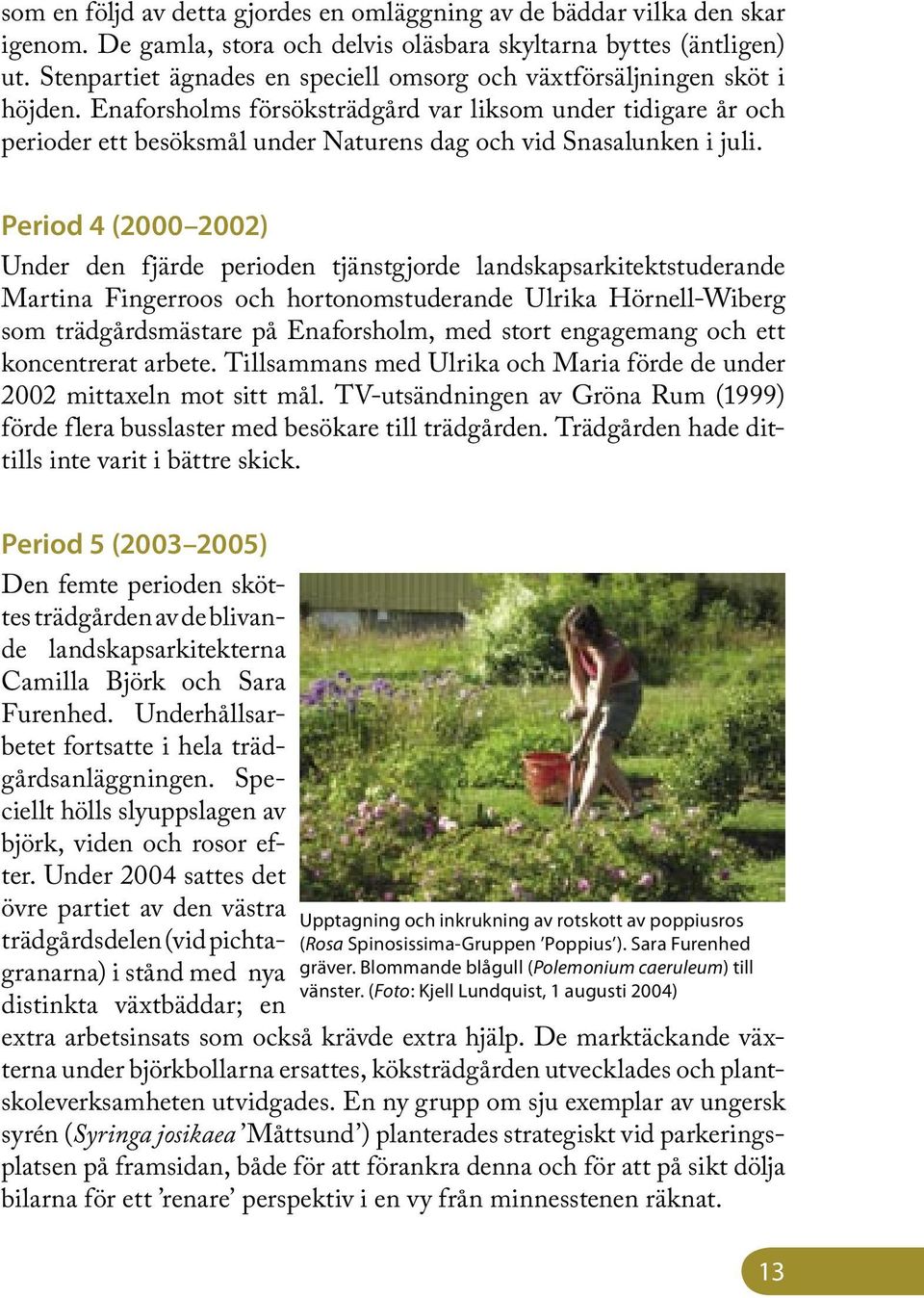 Enaforsholms försöksträdgård var liksom under tidigare år och perioder ett besöksmål under Naturens dag och vid Snasalunken i juli.