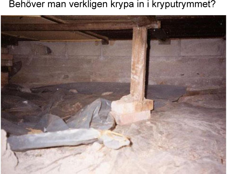 krypa in i