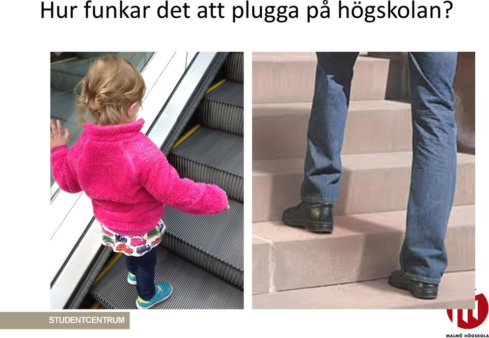 plugga på