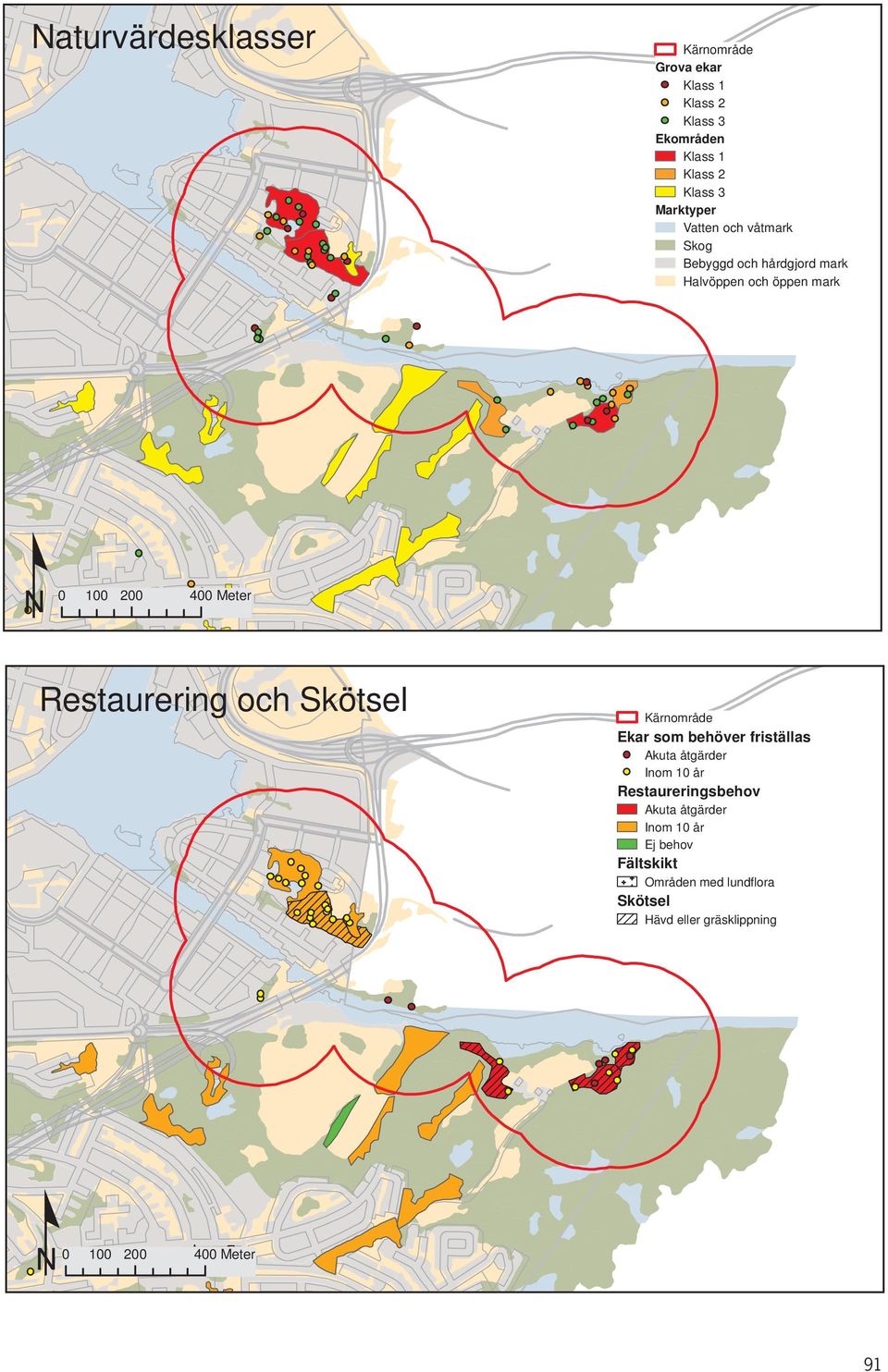 och Skötsel Kärnområde Ekar som behöver friställas Akuta åtgärder Inom 10 år Restaureringsbehov Akuta