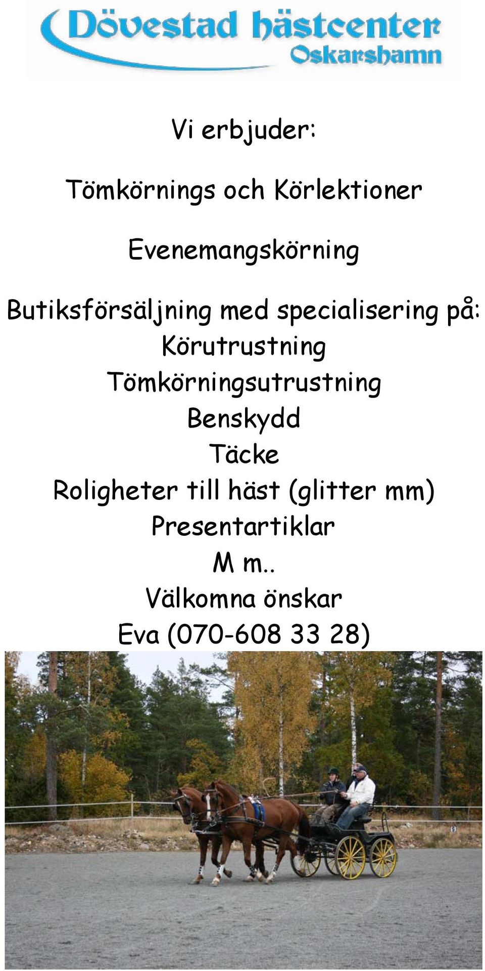 Tömkörningsutrustning Benskydd Täcke Roligheter till häst