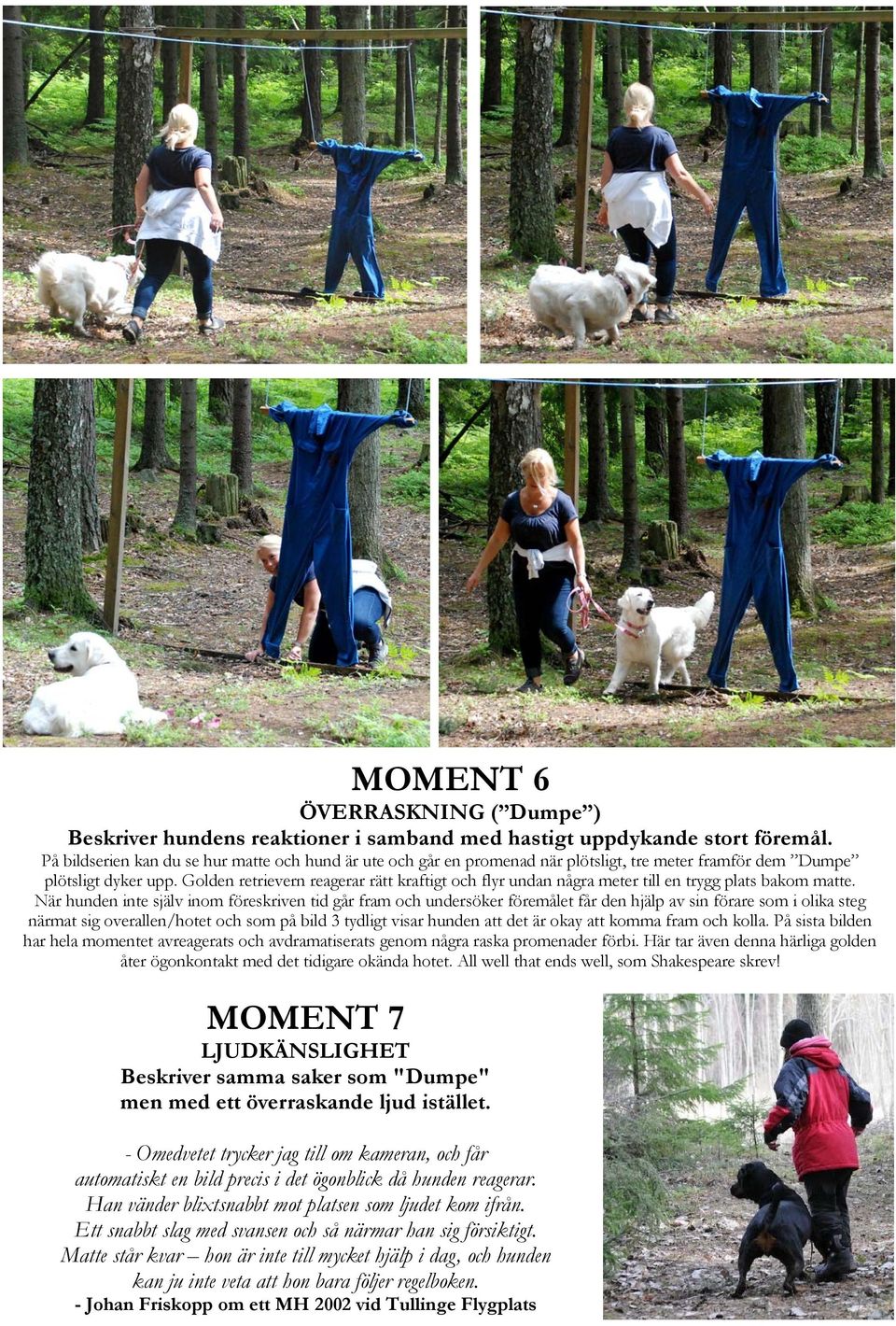 Golden retrievern reagerar rätt kraftigt och flyr undan några meter till en trygg plats bakom matte.