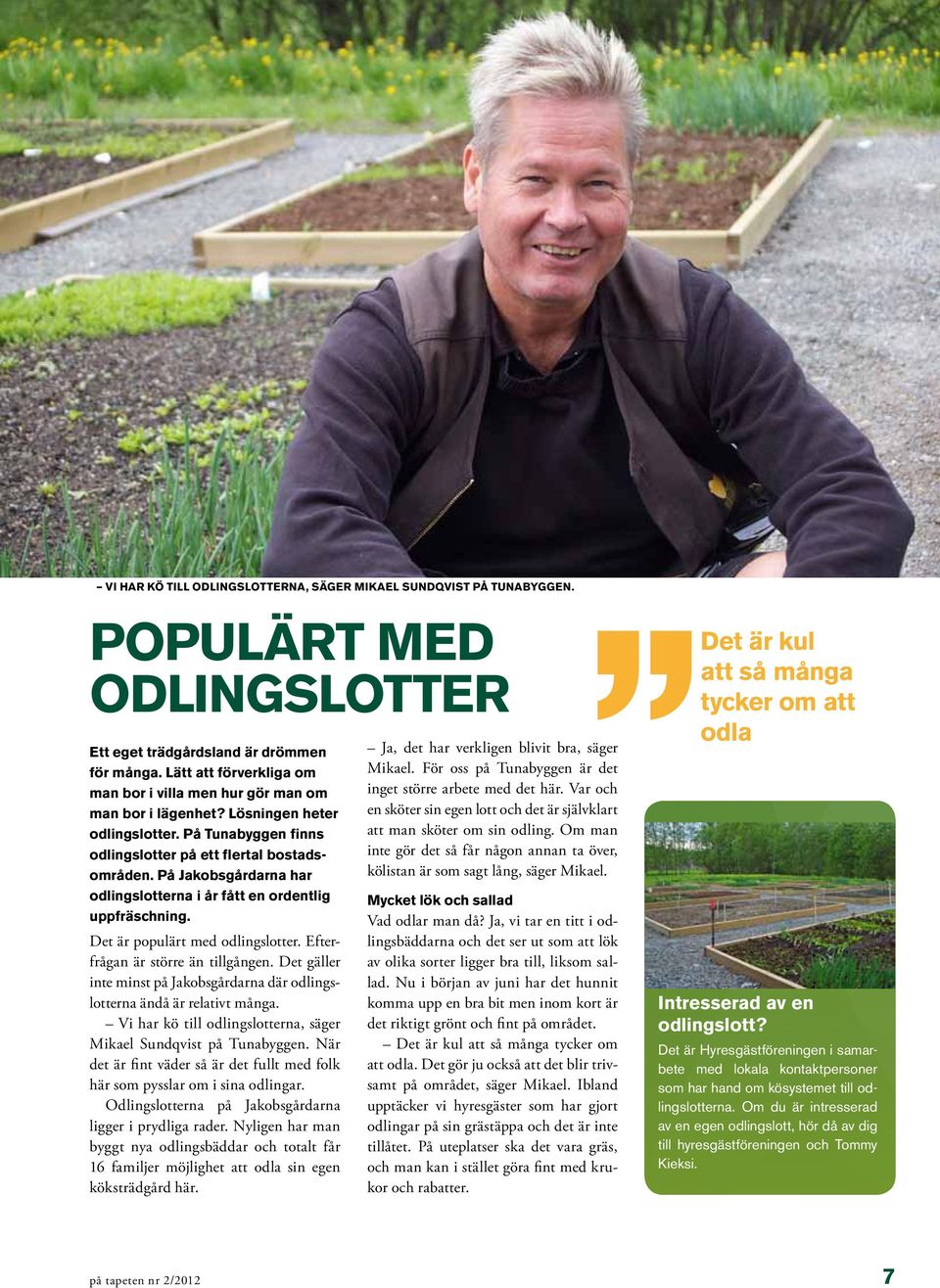 På Jakobsgårdarna har odlingslotterna i år fått en ordentlig uppfräschning. Det är populärt med odlingslotter. Efterfrågan är större än tillgången.