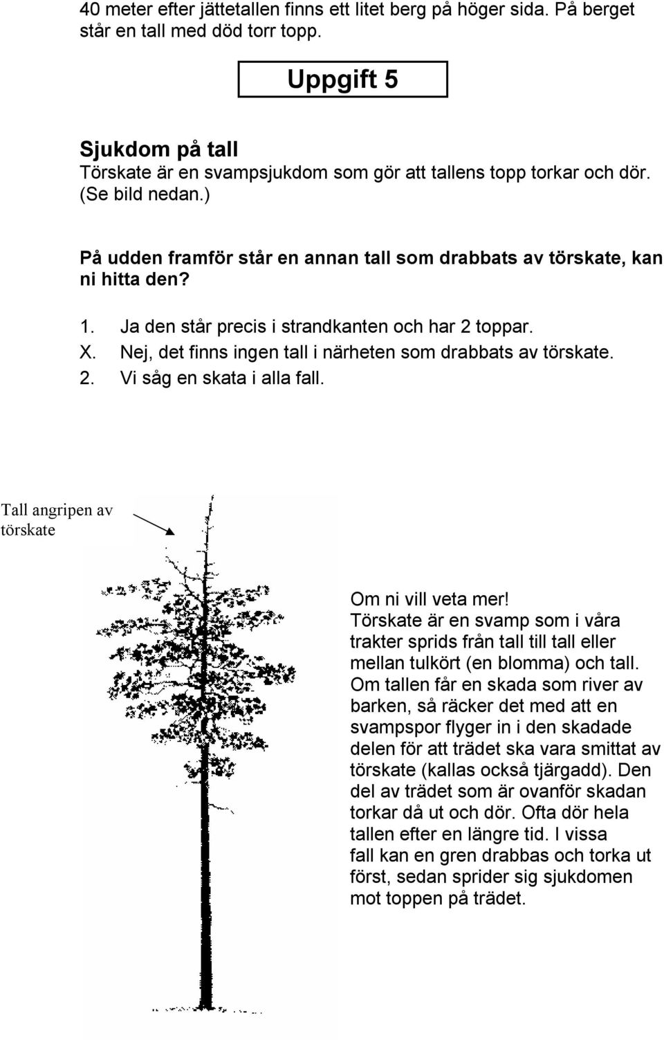 Nej, det finns ingen tall i närheten som drabbats av törskate. 2. Vi såg en skata i alla fall. Tall angripen av törskate Om ni vill veta mer!