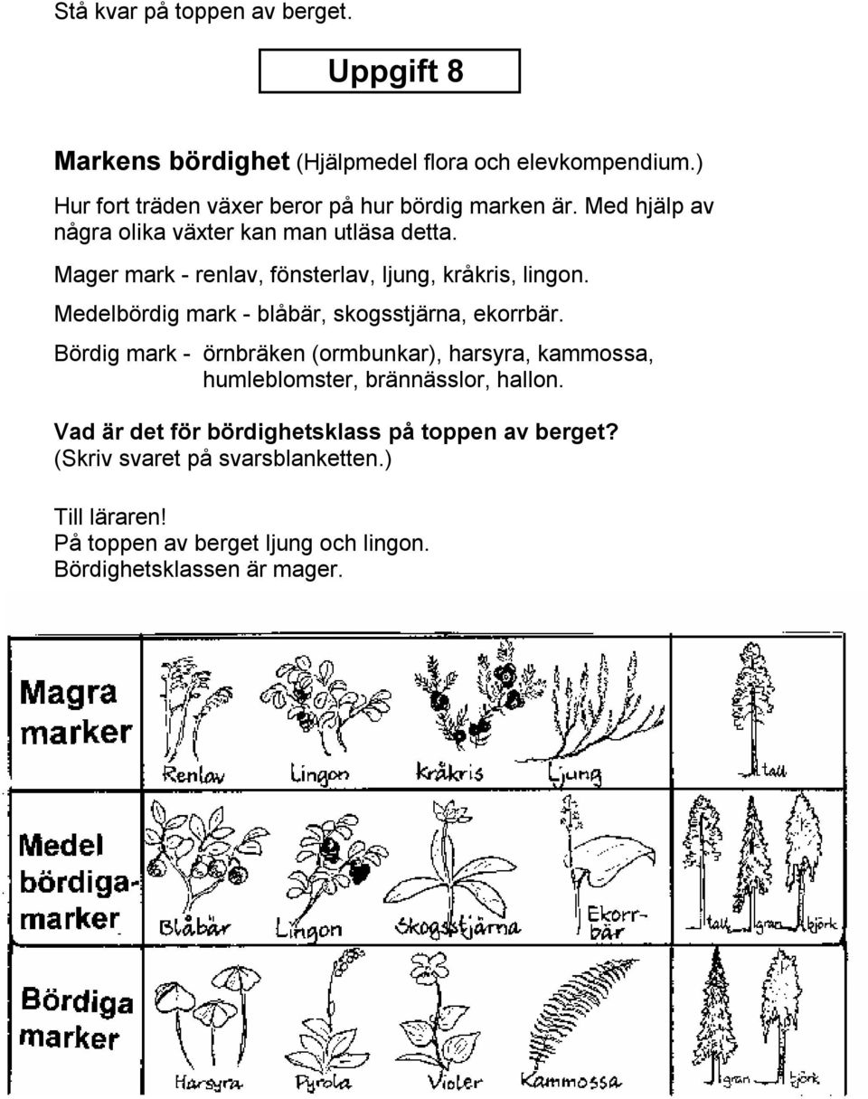 Mager mark - renlav, fönsterlav, ljung, kråkris, lingon. Medelbördig mark - blåbär, skogsstjärna, ekorrbär.