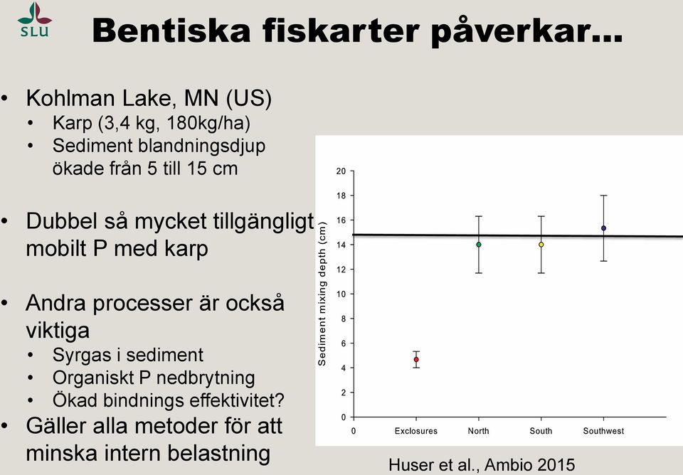 Andra processer är också viktiga Syrgas i sediment Organiskt P nedbrytning Ökad