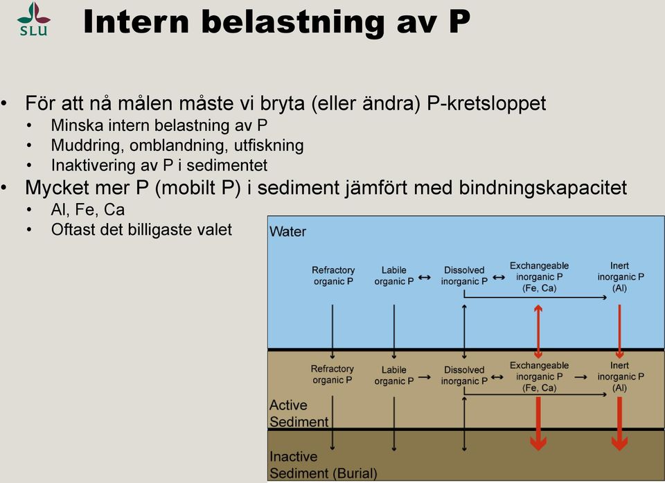 utfiskning Inaktivering av P i sedimentet Mycket mer P (mobilt P) i