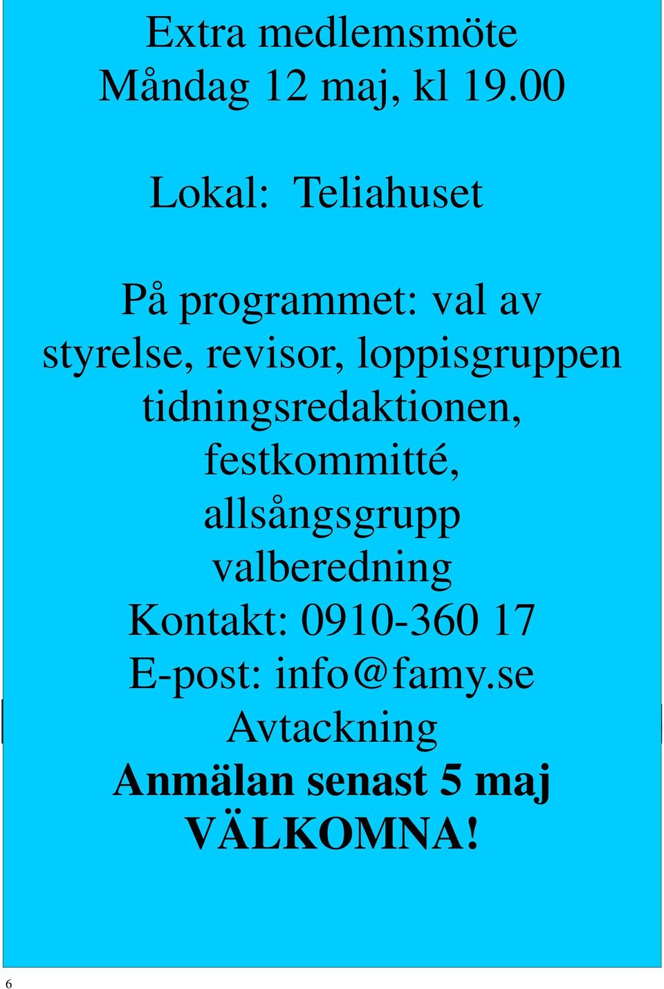 loppisgruppen tidningsredaktionen, festkommitté, allsångsgrupp