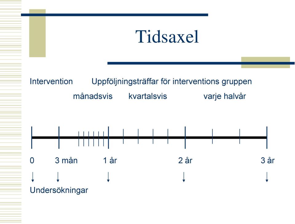 interventions gruppen månadsvis