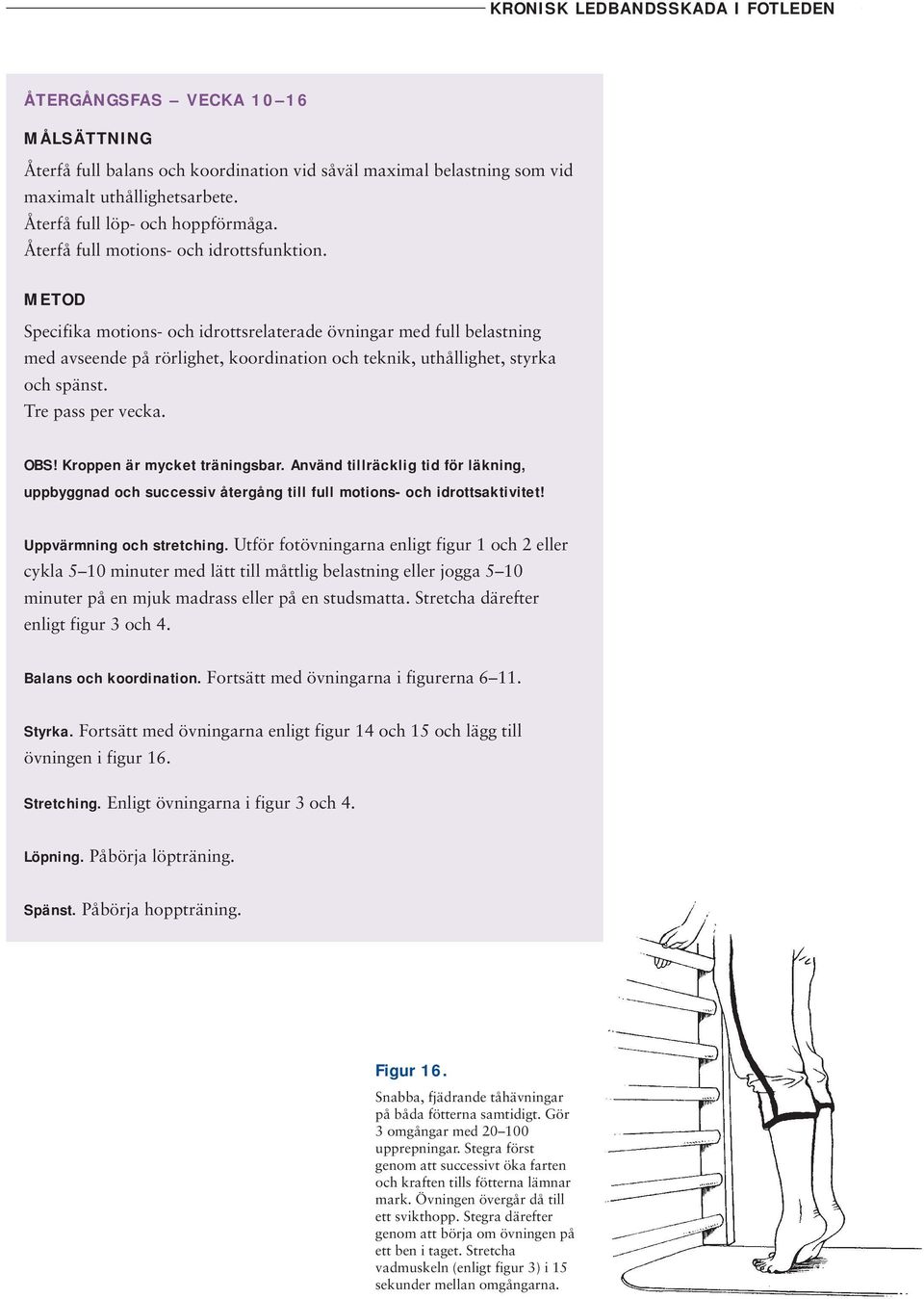 METOD Specifika motions- och idrottsrelaterade övningar med full belastning med avseende på rörlighet, koordination och teknik, uthållighet, styrka och spänst. Tre pass per vecka. OBS!