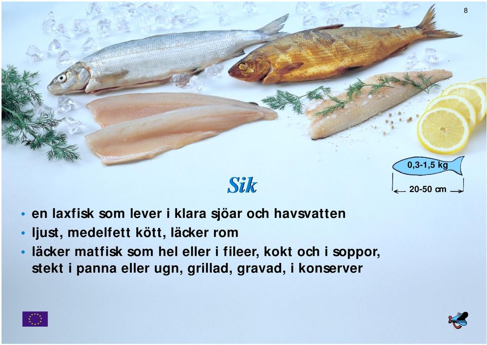 läcker matfisk som hel eller i fileer, kokt och i