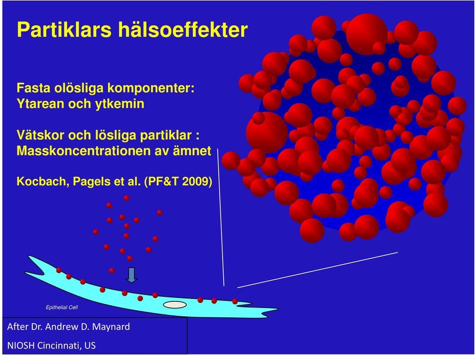 Masskoncentrationen av ämnet Kocbach, Pagels et al.