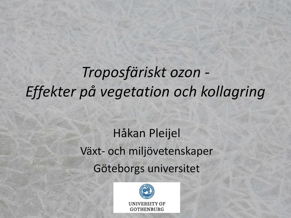 Håkan Pleijel Växt- och