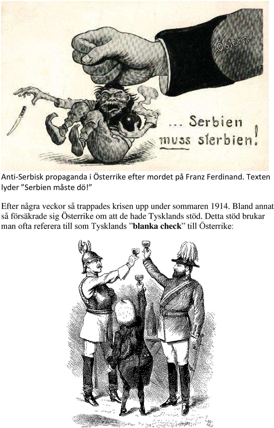 Efter några veckor så trappades krisen upp under sommaren 1914.